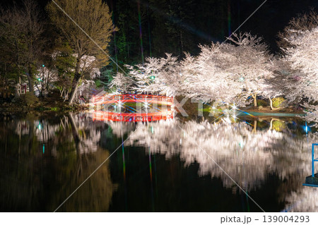 【桜素材】臥竜公園のライトアップされた夜桜【長野県】 【桜素材】臥竜公園のライトアップされた夜桜【長野県】 139004293