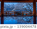 三井寺観月舞台のブルーモーメントの桜 139004478