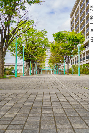 【千葉県市原市】かずさの道(出逢い橋付近~ちはら台駅方面) 【千葉県市原市】かずさの道(出逢い橋付近~ちはら台駅方面) 139005210