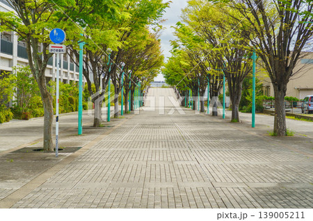 【千葉県市原市】かずさの道(ちはら台駅付近から出逢い橋方面) 139005211