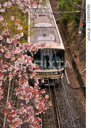 桜の下を通る列車 桜の下を通る列車 139005498