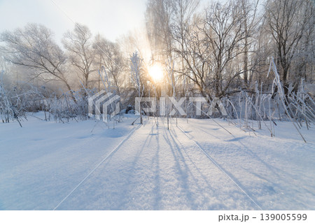 Frosted trees and reeds in serene winter landscape Frosted trees and reeds in serene winter landscape 139005599