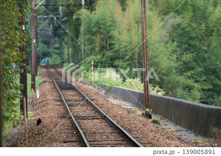 線路と自然 線路と自然 139005891