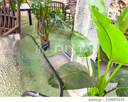Indoor seating area with plants and glass table in modern decor Indoor seating area with plants and glass table in modern decor 139005935