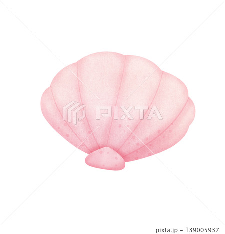 pink seashell ilustration pink seashell ilustration 139005937