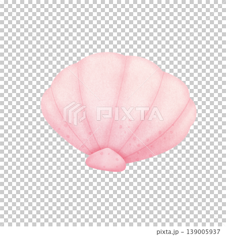 pink seashell ilustration pink seashell ilustration 139005937
