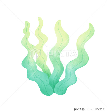 seaweed illustration 139005944