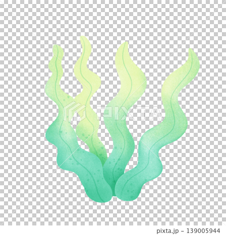 seaweed illustration 139005944