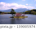 滋賀県日野川ダムの”浮島の八重桜” 139005974