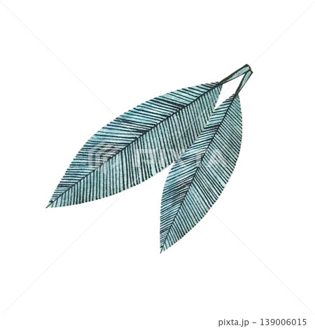 leaf autumn doodle watercolor  139006015