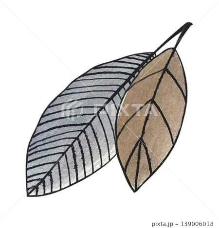 leaf autumn doodle watercolor leaf autumn doodle watercolor 139006018
