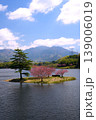 滋賀県日野川ダムの”浮島の八重桜” 139006019