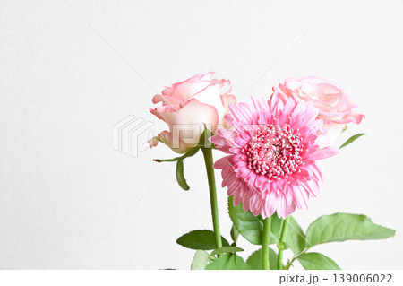 薔薇とガーベラ 139006022