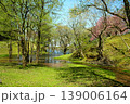 滋賀県日野川ダムの新緑と小川の風景 139006164