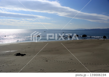 早春の美しい海岸の風景 早春の美しい海岸の風景 139006194