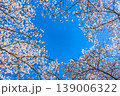 背景素材　満開の桜と青空　霞ヶ城公園　日本さくら名所100選 139006322