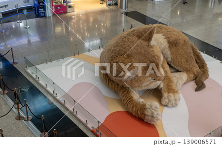 An 8-meter (26 ft) long interactive ginger cat sculpture is on display at Hong Kong International Airport An 8-meter (26 ft) long interactive ginger cat sculpture is on display at Hong Kong International Airport 139006571