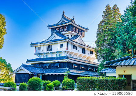 【日本100名城】岩国城の晩秋の風景 復興天守3 山口県岩国市 【日本100名城】岩国城の晩秋の風景 復興天守3 山口県岩国市 139006586