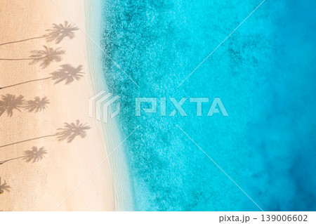 Tranquil Serene Tropical Beach Aerial View Palm Shadows Soft Sand Shore Calm Ocean Summer Background Relaxing Coast 139006602