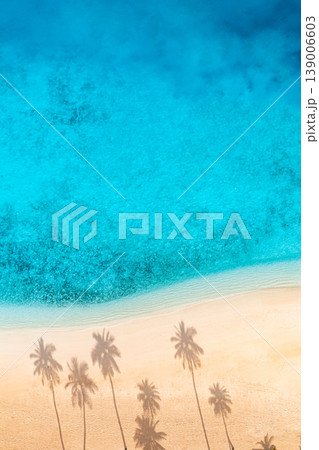 Amazing Tranquility Aerial Tropical Beach Palm Tree Shadows Serene Ocean Waves Soft Sand Coast Summer Nature Wallpaper 139006603