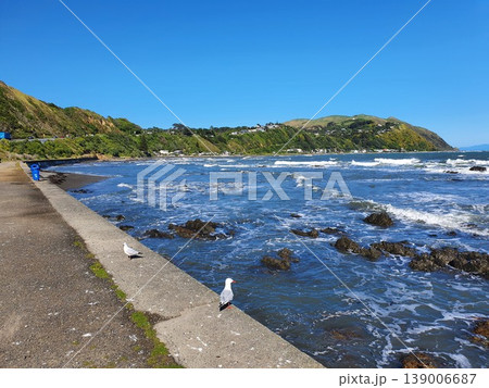 Kapiti Rocky Coastline Beach Kapiti Rocky Coastline Beach 139006687