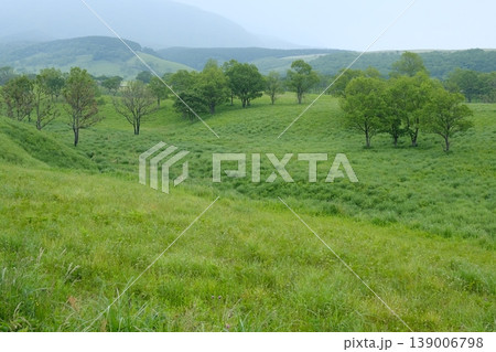 新緑が広がるなだらかな草原風景・初夏の山並みと瑞々しい木々の景観 新緑が広がるなだらかな草原風景・初夏の山並みと瑞々しい木々の景観 139006798
