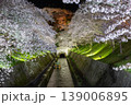 琵琶湖疎水の桜のライトアップ 139006895