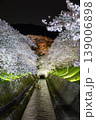 ライトアップされた琵琶湖疎水の満開の桜 139006898