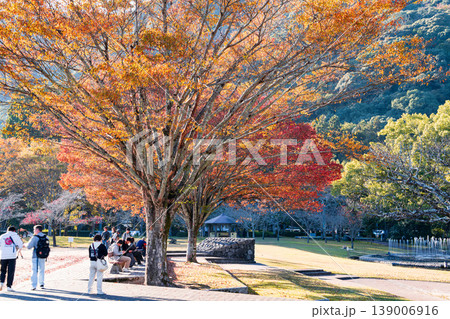 晩秋の吉香公園の風景2　山口県岩国市 139006916