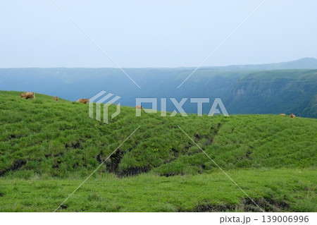 阿蘇外輪山の広大な草原風景・カルデラの稜線と放牧赤牛の景観 阿蘇外輪山の広大な草原風景・カルデラの稜線と放牧赤牛の景観 139006996