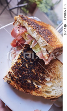 Grilled sandwich with layers of ham, cheese, and lettuce on a white plate, showing toasted bread with a crispy texture and a blurred background of greenery 139007109