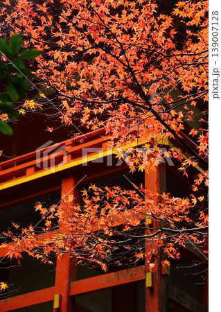 比叡山の紅葉 比叡山の紅葉 139007128