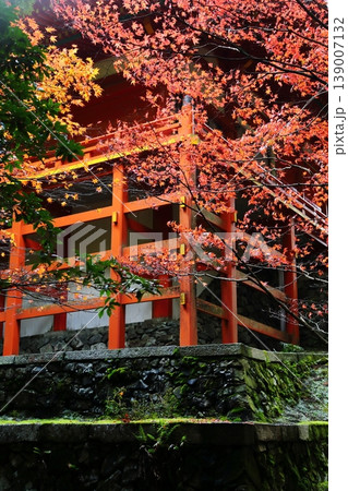 比叡山の紅葉 139007132