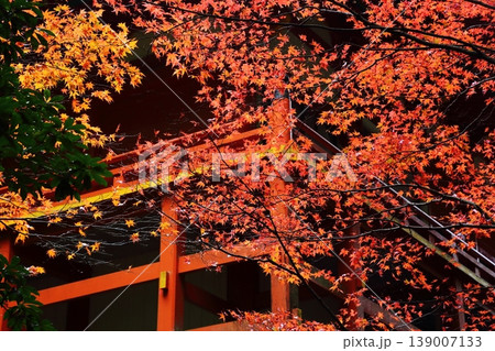 比叡山の紅葉 139007133
