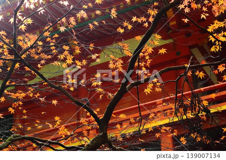 比叡山の紅葉 比叡山の紅葉 139007134
