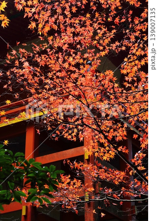 比叡山の紅葉 比叡山の紅葉 139007135