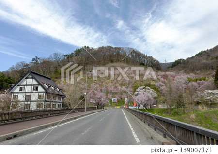 春の水上温泉　諏訪峡大橋から見るみなかみ花見山 139007171