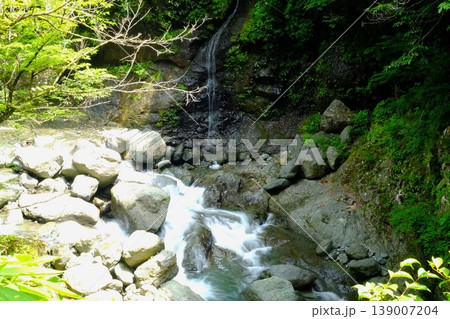 【神奈川県】早戸川渓谷の小さな滝 【神奈川県】早戸川渓谷の小さな滝 139007204