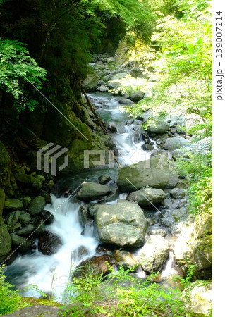 【神奈川県】森の中の小さな滝の流れ 139007214