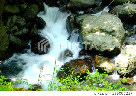【神奈川県】森の中の早戸川の流れ 139007217