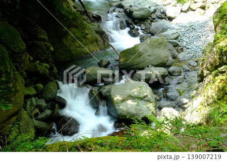 【神奈川県】早戸川渓谷の流れ 139007219