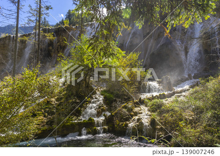 Beautiful Pearl Shoals Waterfall in Jiuzhaigou nature reserve (Jiuzhai Valley National Park),China Beautiful Pearl Shoals Waterfall in Jiuzhaigou nature reserve (Jiuzhai Valley National Park),China 139007246