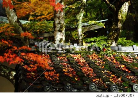 比叡山の紅葉の落ち葉 139007307