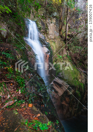 【日本の滝百選】晩秋の寂地峡五龍の滝　龍門の滝11　山口県岩国市 139007416