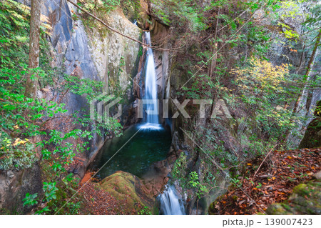 【日本の滝百選】晩秋の寂地峡五龍の滝　龍頭の滝と龍門の滝の上部3　山口県岩国市 139007423