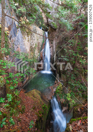 【日本の滝百選】晩秋の寂地峡五龍の滝　龍頭の滝と龍門の滝の上部2　山口県岩国市 139007426