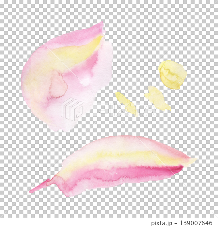 Pink watercolor petal shapes with soft yellow striped gradients, abstract floral fragments, sunshine blots. Isolated illustration hand drawn in watercolor. Abstract accents, pastel design elements. 139007646