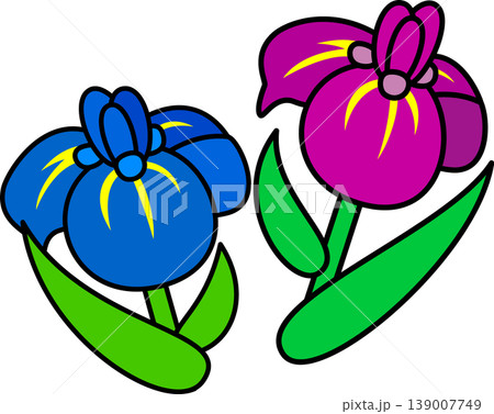 端午の節句　菖蒲の花 139007749