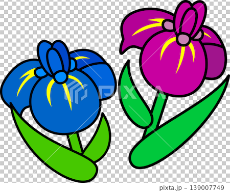 端午の節句　菖蒲の花 139007749