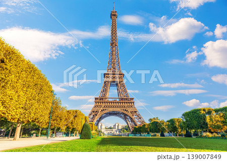 An amazing view of the Eiffel Tower beneath cloudy skies from the Champ de Mars, Paris, France 139007849